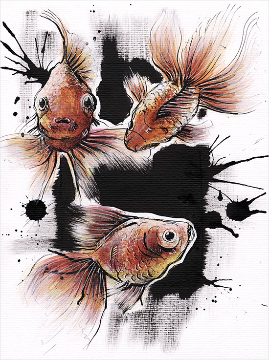 Bulle - Romain Cousin