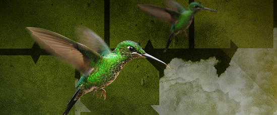 Illustration Man vs Nature - Romain Cousin